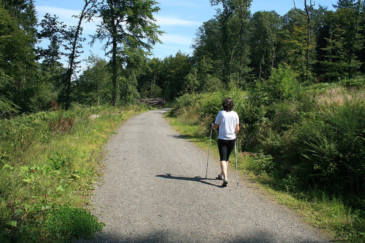 Nordic Walking